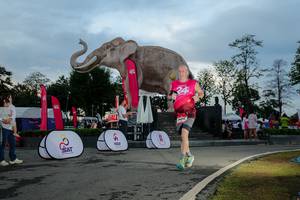 BIB: 
                            <button type="button" onclick="openModal(26529467)" class="btn btn-primary btn-sm float-right btn-popup" data-toggle="modal" data-target=".modal-high-quality">
                        <i class="fas fa-shopping-cart"></i> Add to Cart
                    </button>
                                            <button type="button" onclick="isThisMe(26529467, true)" class="btn btn-success btn-sm float-right btn-popup btn-isme hidden" data-toggle="tooltip" data-placement="bottom" title="นี่คือรูปของคุณใช่ไหม คลิกที่นี่เพื่อเอาเข้าอัลบั้ม">
                        <i class="fas fa-plus"></i> Add to album
                    </button>
                    <button type="button" onclick="isThisMe(26529467, false)" class="btn btn-warning btn-sm float-right btn-popup btn-isnotme hidden">
                        <i class="fas fa-ban"></i> Remove from album
                    </button>